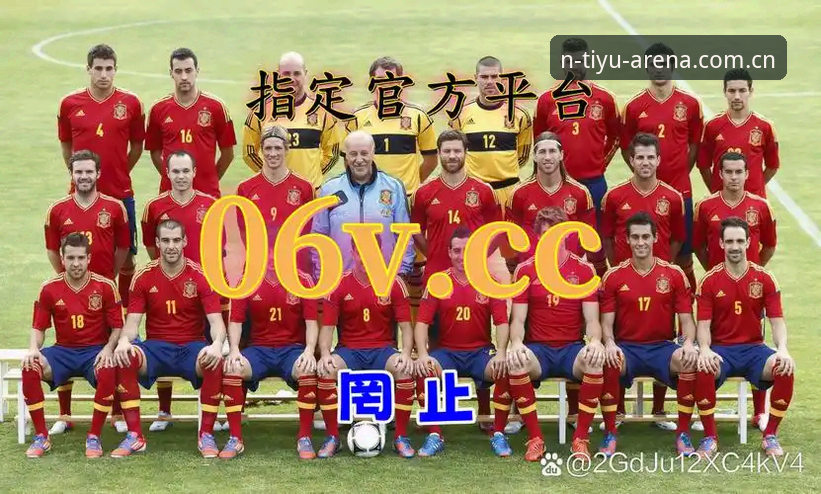 N体育官方平台 vs 传统体育直播：2024年体育迷的终极选择对比分析
